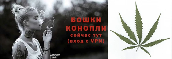 ALPHA-PVP Осинники